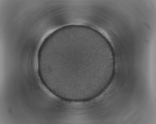 X0000113551080200910161429