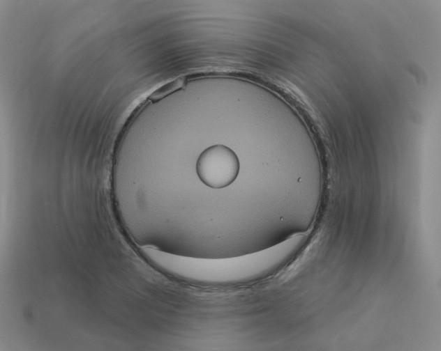 X0000113551081200910161429