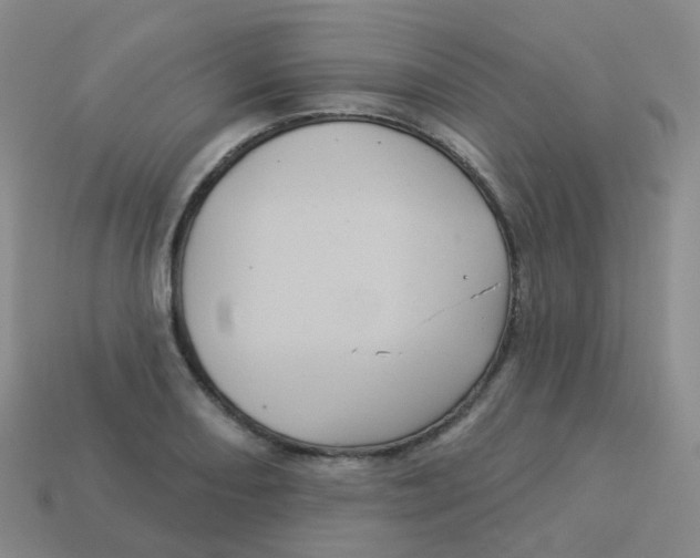 X0000113551082200910161429