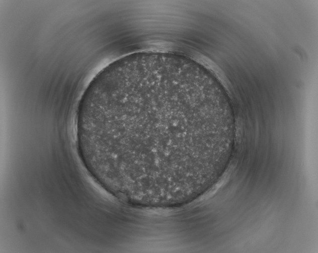 X0000113551083200910161429