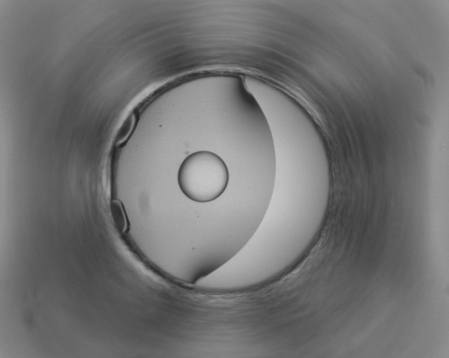 X0000113551084200910161429