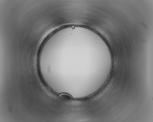 X0000113551085200910161429