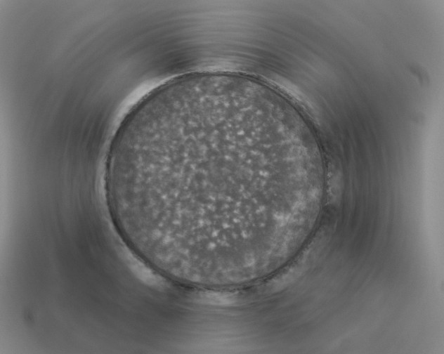 X0000113551086200910161429