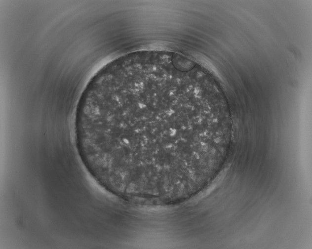 X0000113551087200910161429