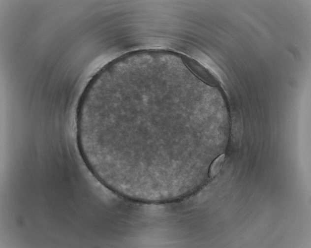 X0000113551088200910161429