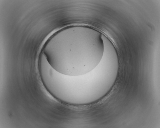 X0000113551092200910161429