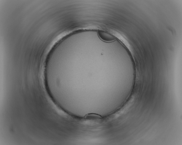 X0000113551093200910161429