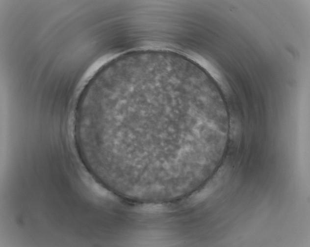 X0000113551094200910161429