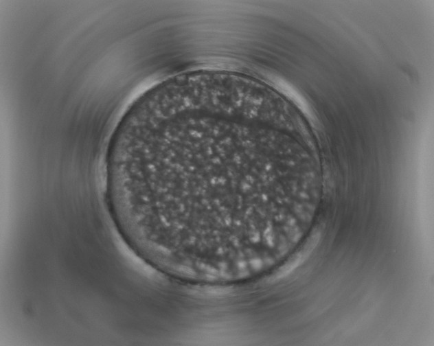 X0000113551095200910161429