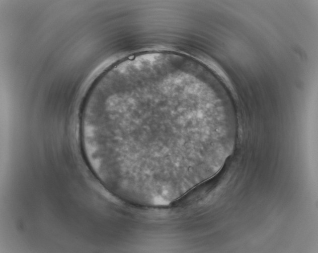 X0000113551096200910161428