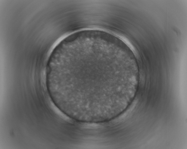 X0000113551100200910161428