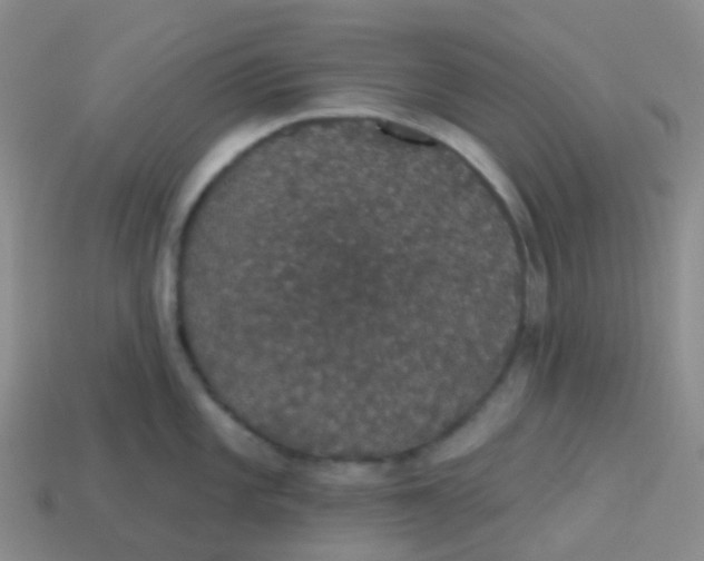 X0000113551101200910161428