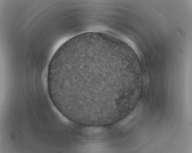 X0000113551103200910161428