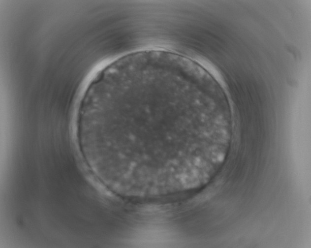 X0000113551104200910161428