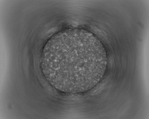 X0000113551105200910161428