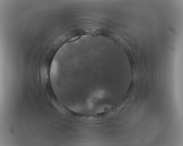 X0000113551106200910161428