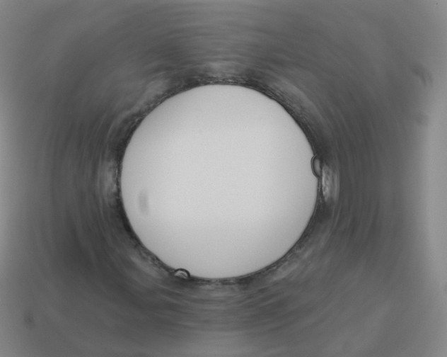 X0000113551107200910161428
