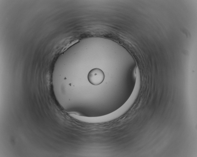 X0000113551108200910161428