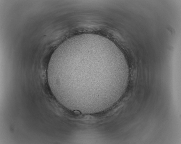 X0000113551109200910161428