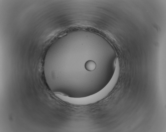 X0000113551110200910161428