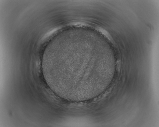X0000113551111200910161428
