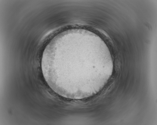 X0000113551112200910161428