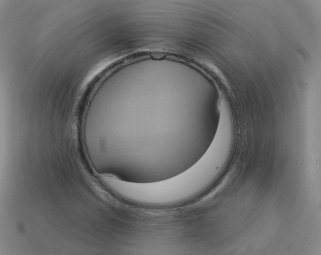 X0000113551114200910161428