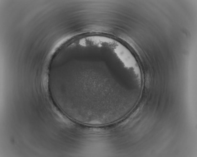 X0000113551115200910161428