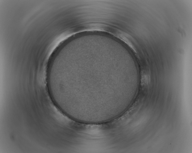 X0000113551116200910161428