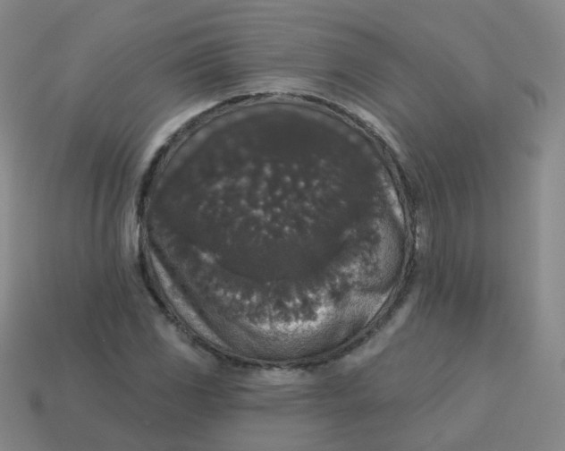 X0000113551117200910161428