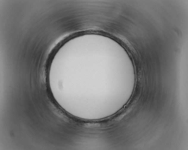X0000113551118200910161428