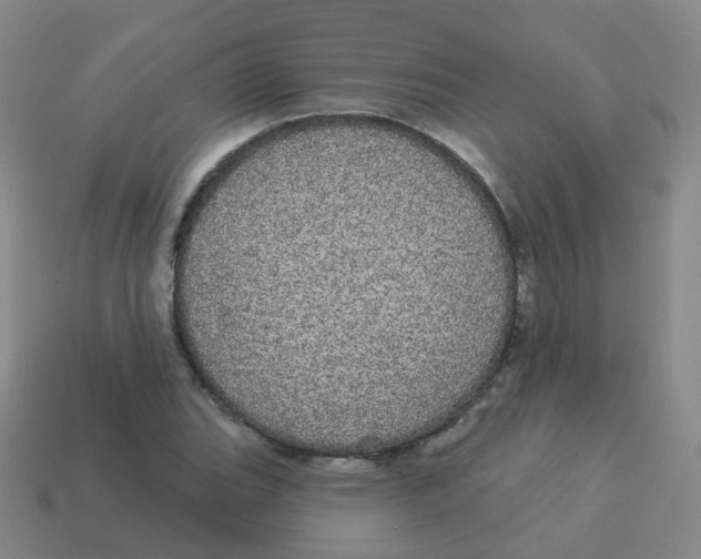 X0000113551119200910161428