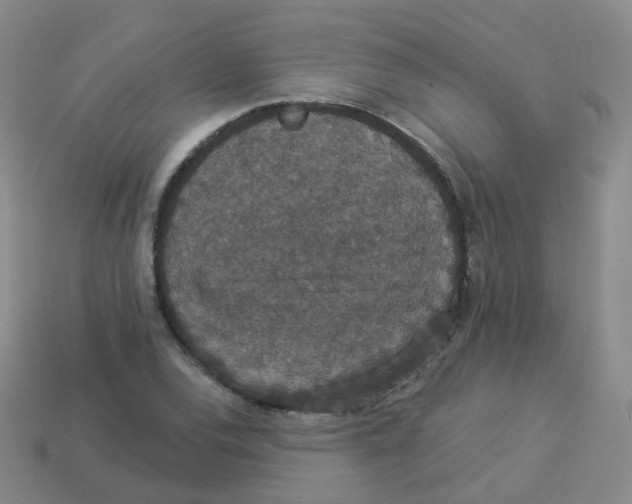 X0000113551120200910161428