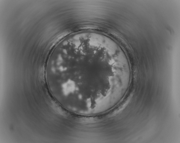 X0000113551121200910161428