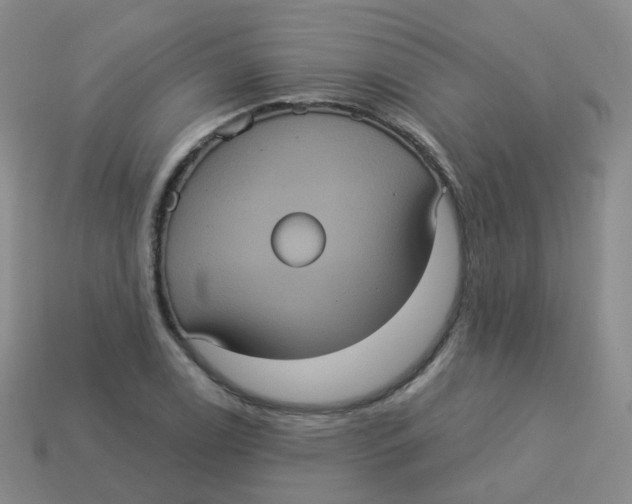 X0000113551122200910161428