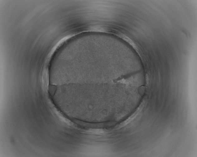 X0000113551123200910161428