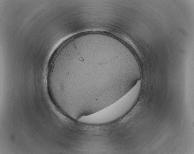 X0000113551124200910161428