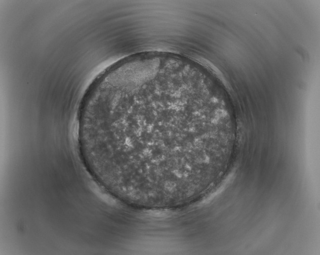X0000113551125200910161428
