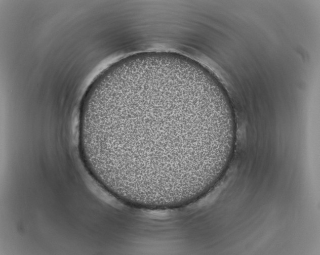 X0000113551126200910161428
