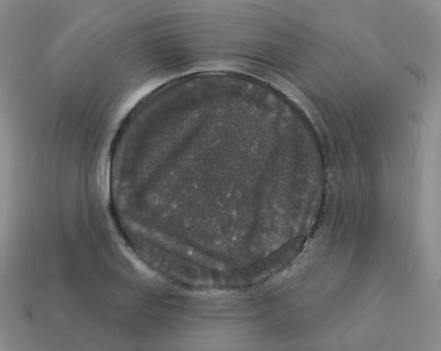 X0000113551127200910161428