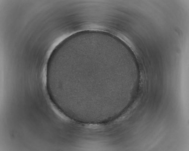 X0000113551128200910161428