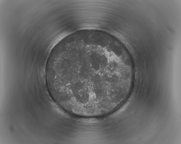 X0000113551129200910161428