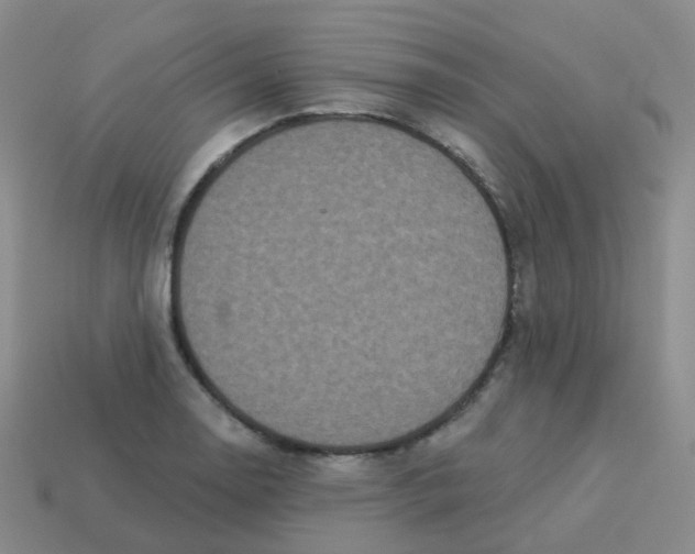 X0000113551130200910161428