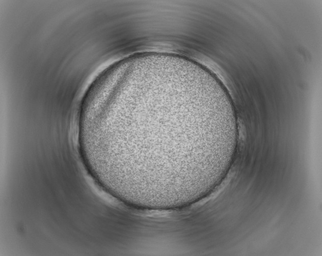 X0000113551131200910161428