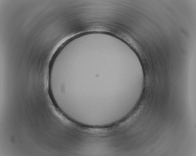 X0000113551132200910161428
