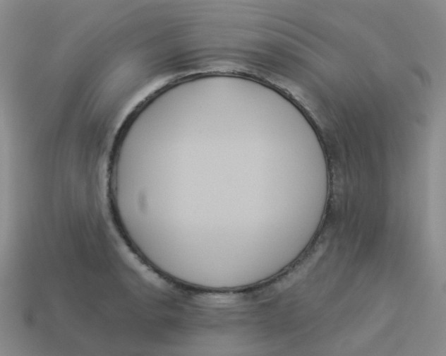 X0000113551134200910161428