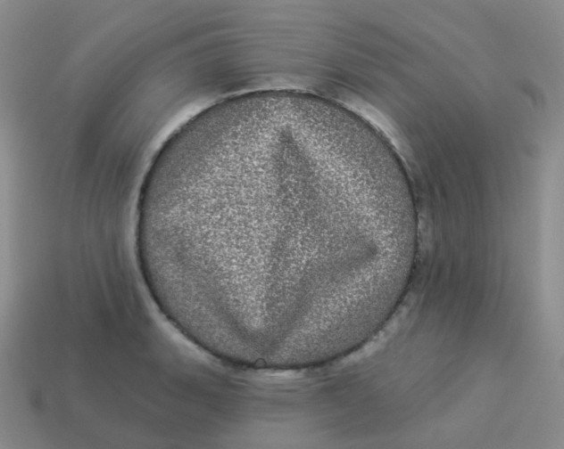 X0000113551135200910161428