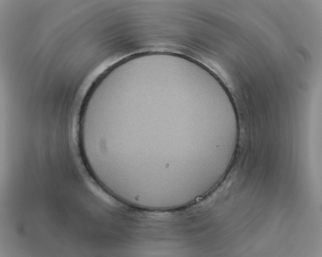 X0000113551136200910161428