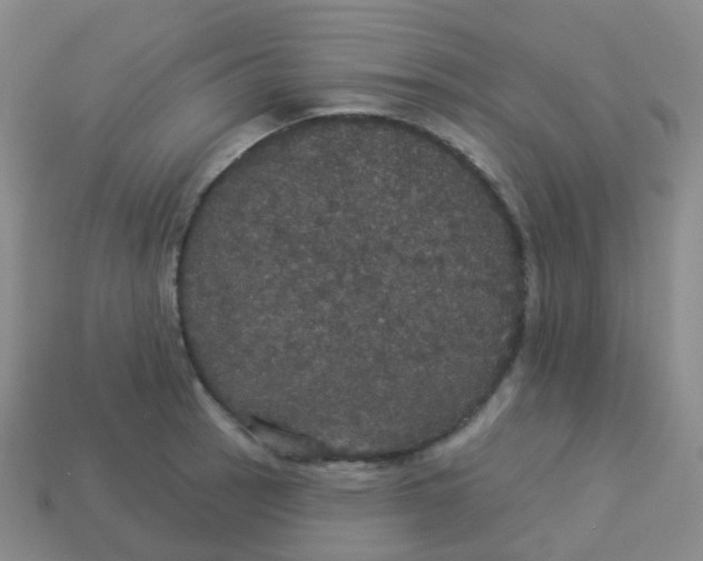 X0000113551137200910161428