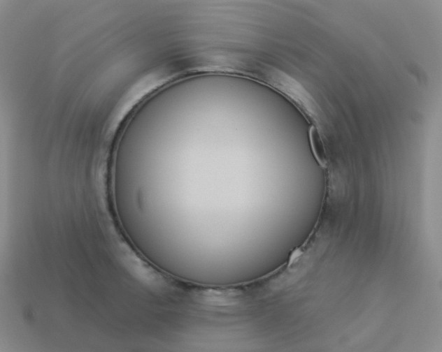 X0000113551138200910161428